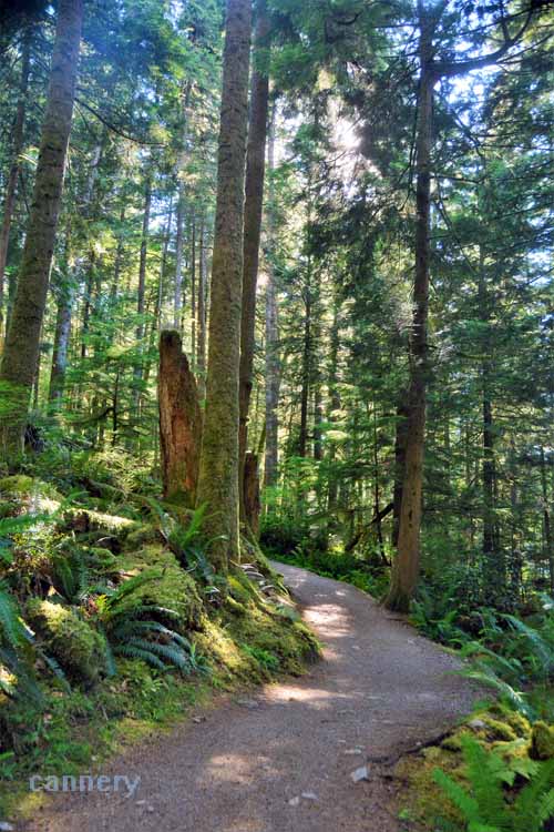 hiking trail